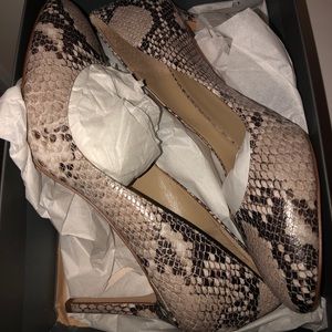 Ann Taylor Snakeprint Pumps